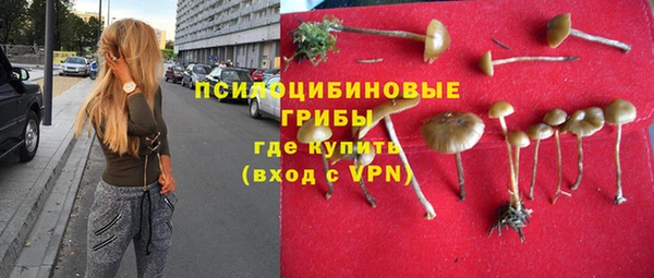 сатива Алексеевка