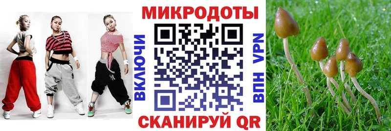 где купить наркоту Игра Псилоцибиновые грибы мицелий